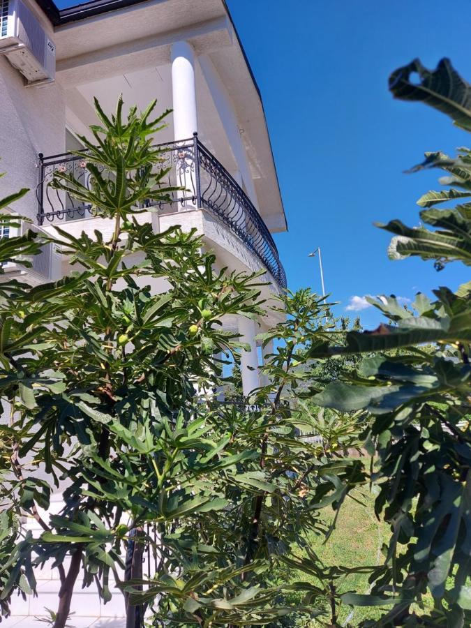 Villa Bratislava 德米尔卡皮亚 外观 照片