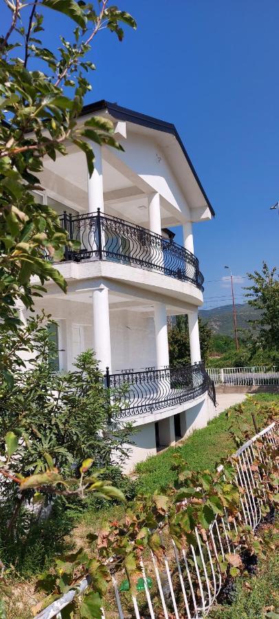 Villa Bratislava 德米尔卡皮亚 外观 照片